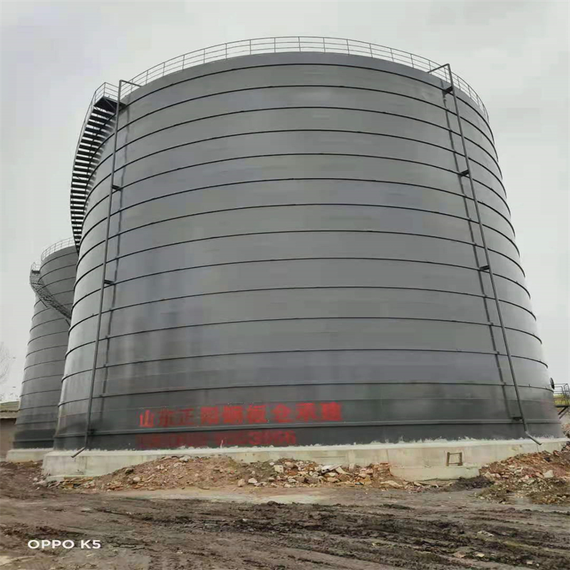 大新3万吨大型钢板库