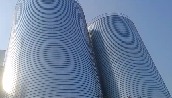 大新2座混凝土高架卷板仓